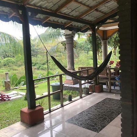 Sumatra Cheeky Monkeys Hotel Bukit Lawang Ngoại thất bức ảnh