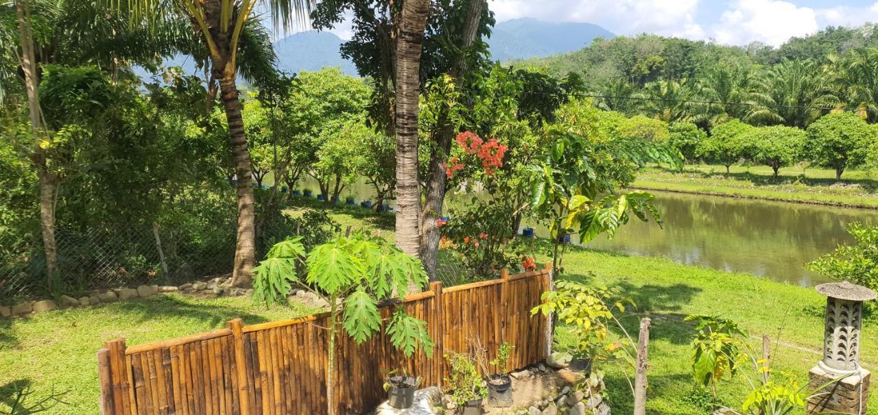 Sumatra Cheeky Monkeys Hotel Bukit Lawang Ngoại thất bức ảnh