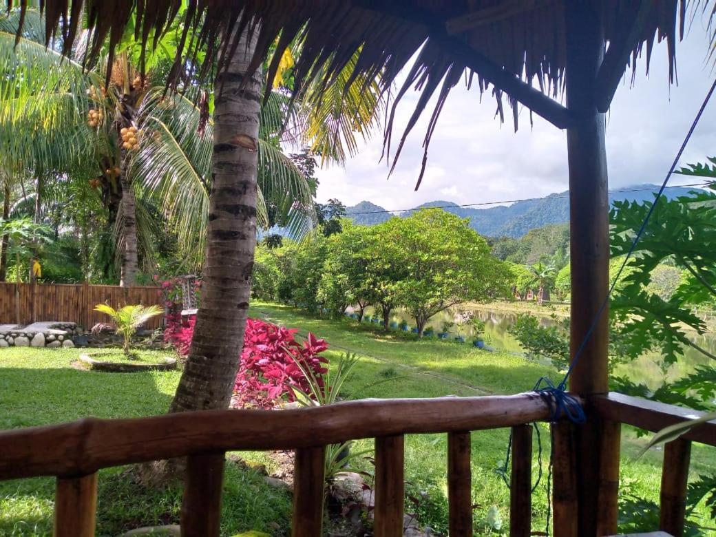Sumatra Cheeky Monkeys Hotel Bukit Lawang Ngoại thất bức ảnh