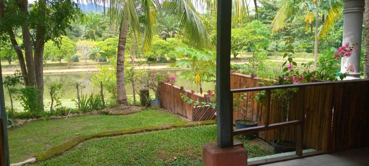 Sumatra Cheeky Monkeys Hotel Bukit Lawang Ngoại thất bức ảnh