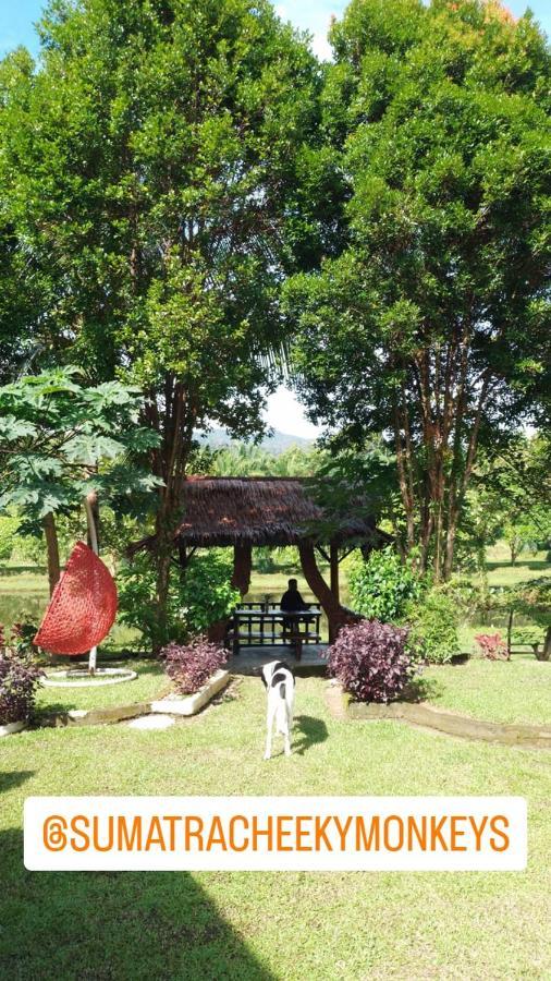 Sumatra Cheeky Monkeys Hotel Bukit Lawang Ngoại thất bức ảnh