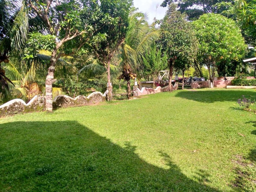 Sumatra Cheeky Monkeys Hotel Bukit Lawang Ngoại thất bức ảnh