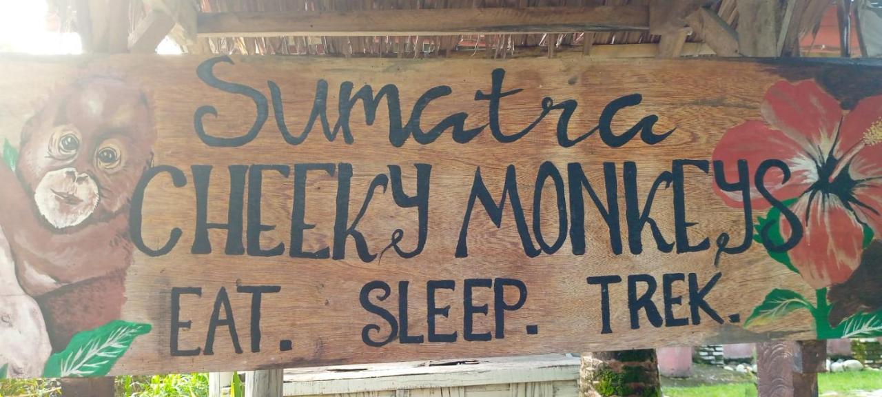 Sumatra Cheeky Monkeys Hotel Bukit Lawang Ngoại thất bức ảnh