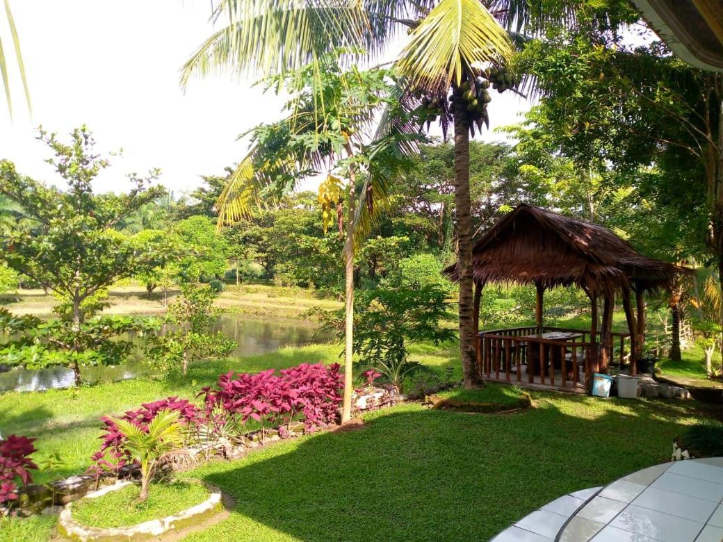Sumatra Cheeky Monkeys Hotel Bukit Lawang Ngoại thất bức ảnh