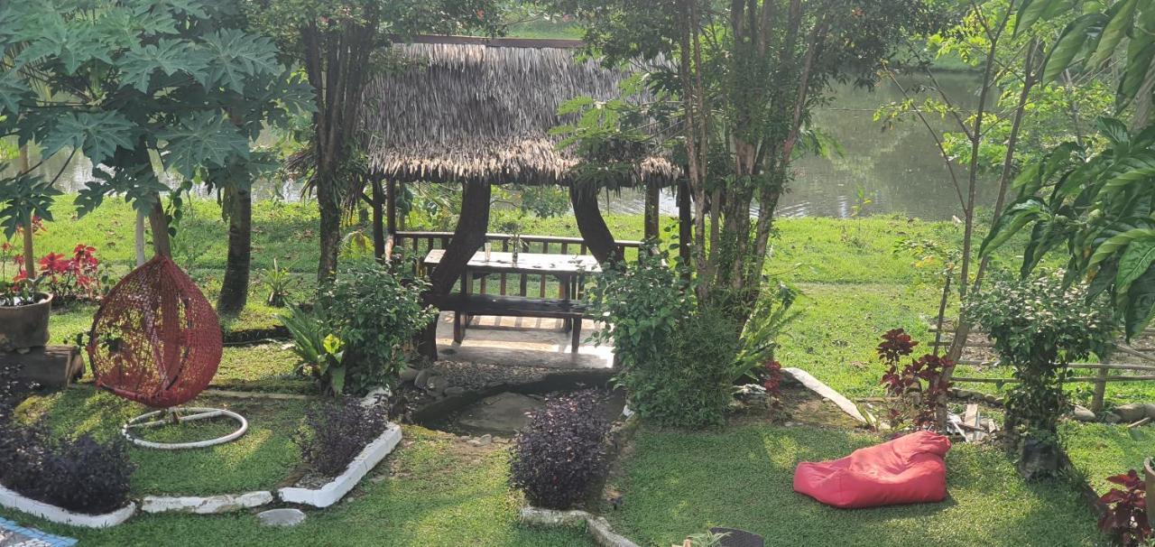 Sumatra Cheeky Monkeys Hotel Bukit Lawang Ngoại thất bức ảnh