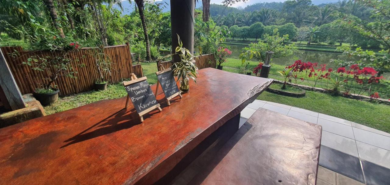 Sumatra Cheeky Monkeys Hotel Bukit Lawang Ngoại thất bức ảnh
