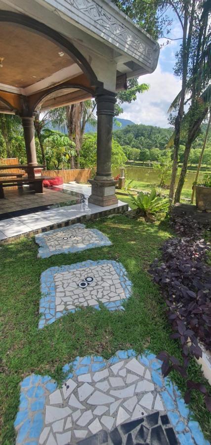 Sumatra Cheeky Monkeys Hotel Bukit Lawang Ngoại thất bức ảnh