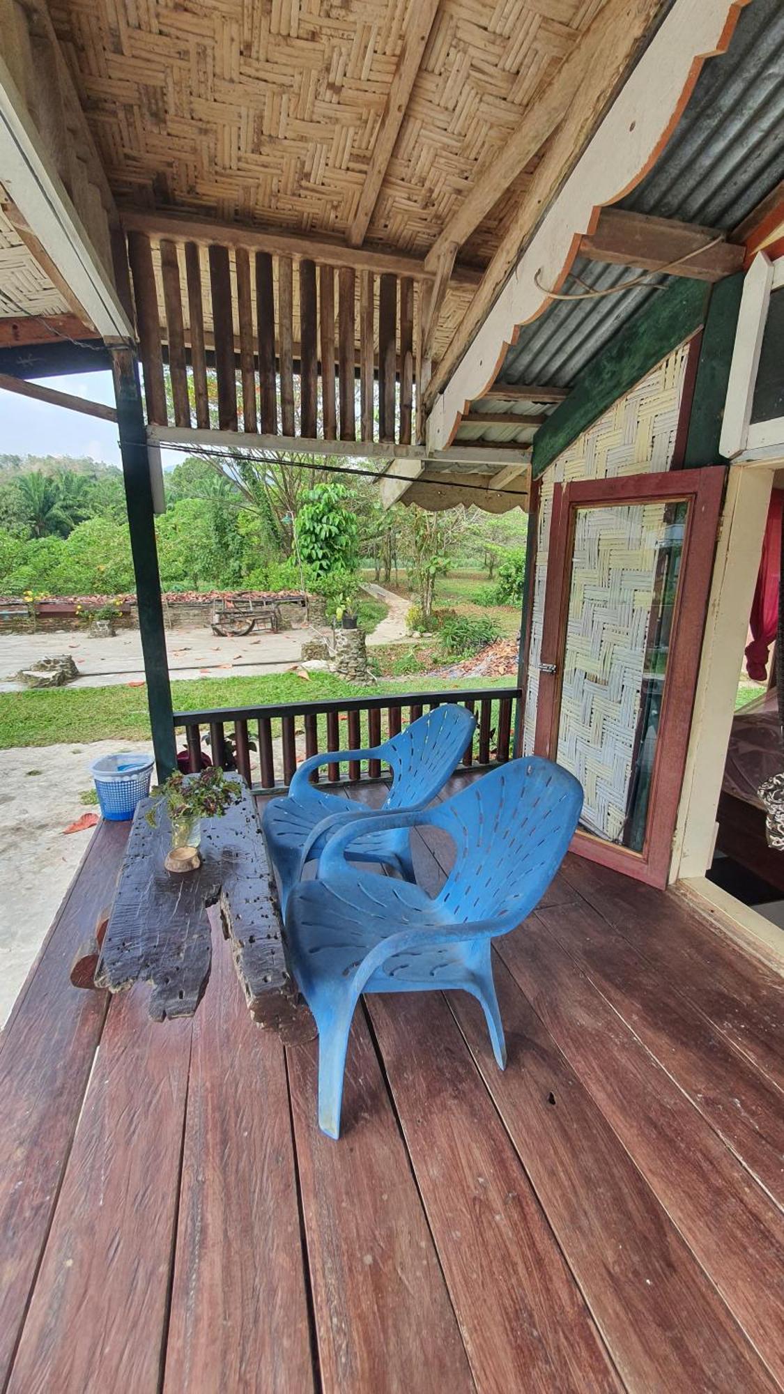 Sumatra Cheeky Monkeys Hotel Bukit Lawang Ngoại thất bức ảnh