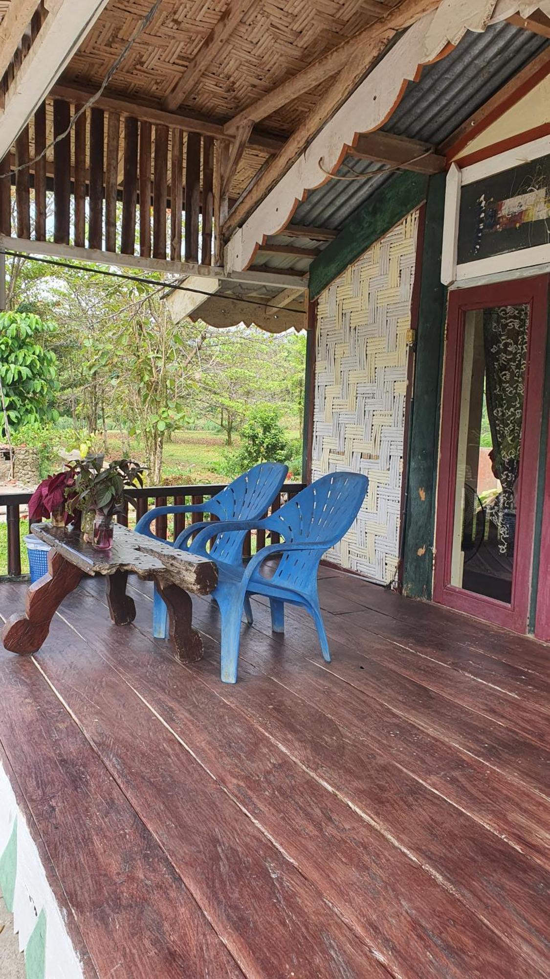 Sumatra Cheeky Monkeys Hotel Bukit Lawang Ngoại thất bức ảnh