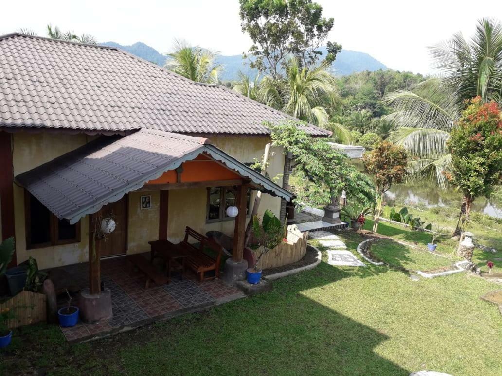 Sumatra Cheeky Monkeys Hotel Bukit Lawang Ngoại thất bức ảnh