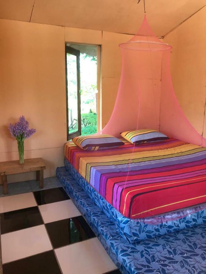 Sumatra Cheeky Monkeys Hotel Bukit Lawang Ngoại thất bức ảnh