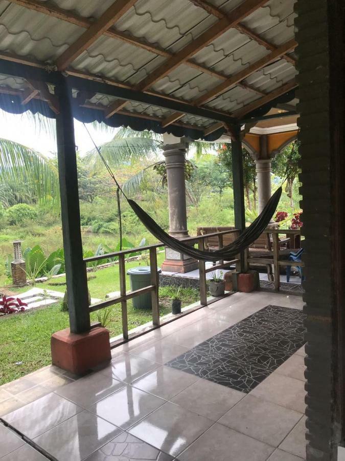 Sumatra Cheeky Monkeys Hotel Bukit Lawang Ngoại thất bức ảnh