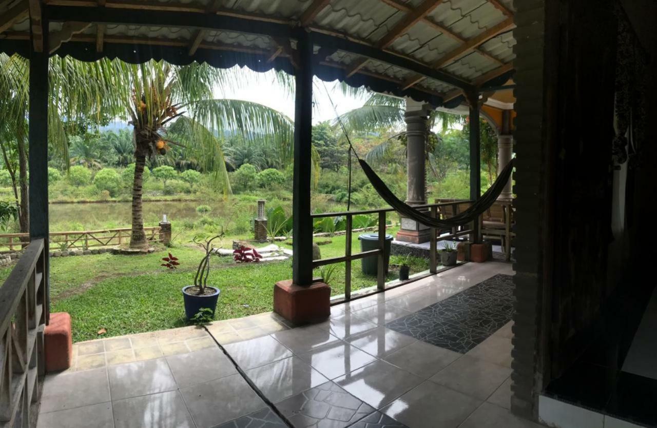 Sumatra Cheeky Monkeys Hotel Bukit Lawang Ngoại thất bức ảnh