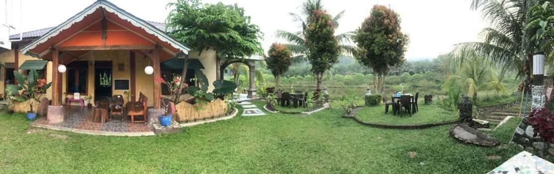 Sumatra Cheeky Monkeys Hotel Bukit Lawang Ngoại thất bức ảnh